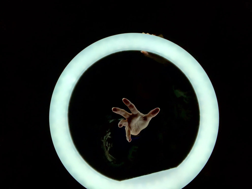 18" 50W LED Ring Light Annular Lamp Bi-color Ring Lamp + Remote Control for Video YouTube Ringlight Makeup Light with Tripod