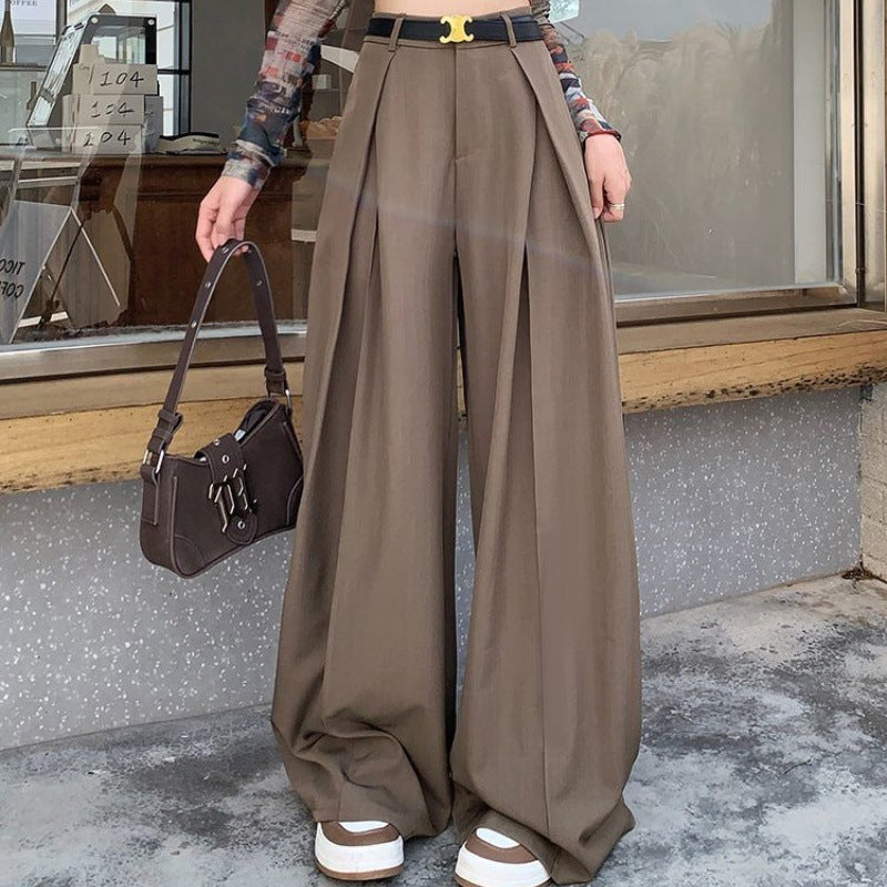 Designed Pleated Wide-Leg Pants for Women, 2026 Spring New Style, High-Waisted Straight-Leg Suit Pants, Casual Drapey Floor-Length Trousers